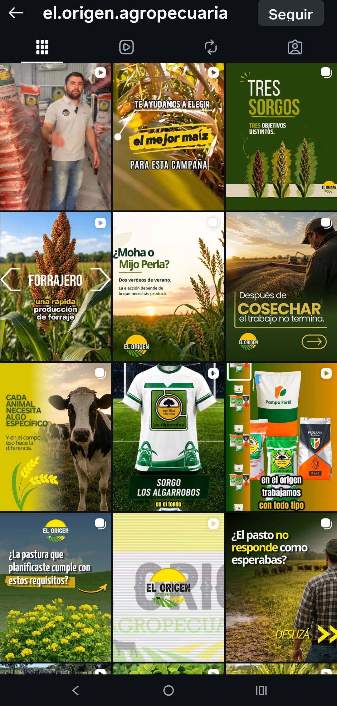 Contenido para redes sociales
